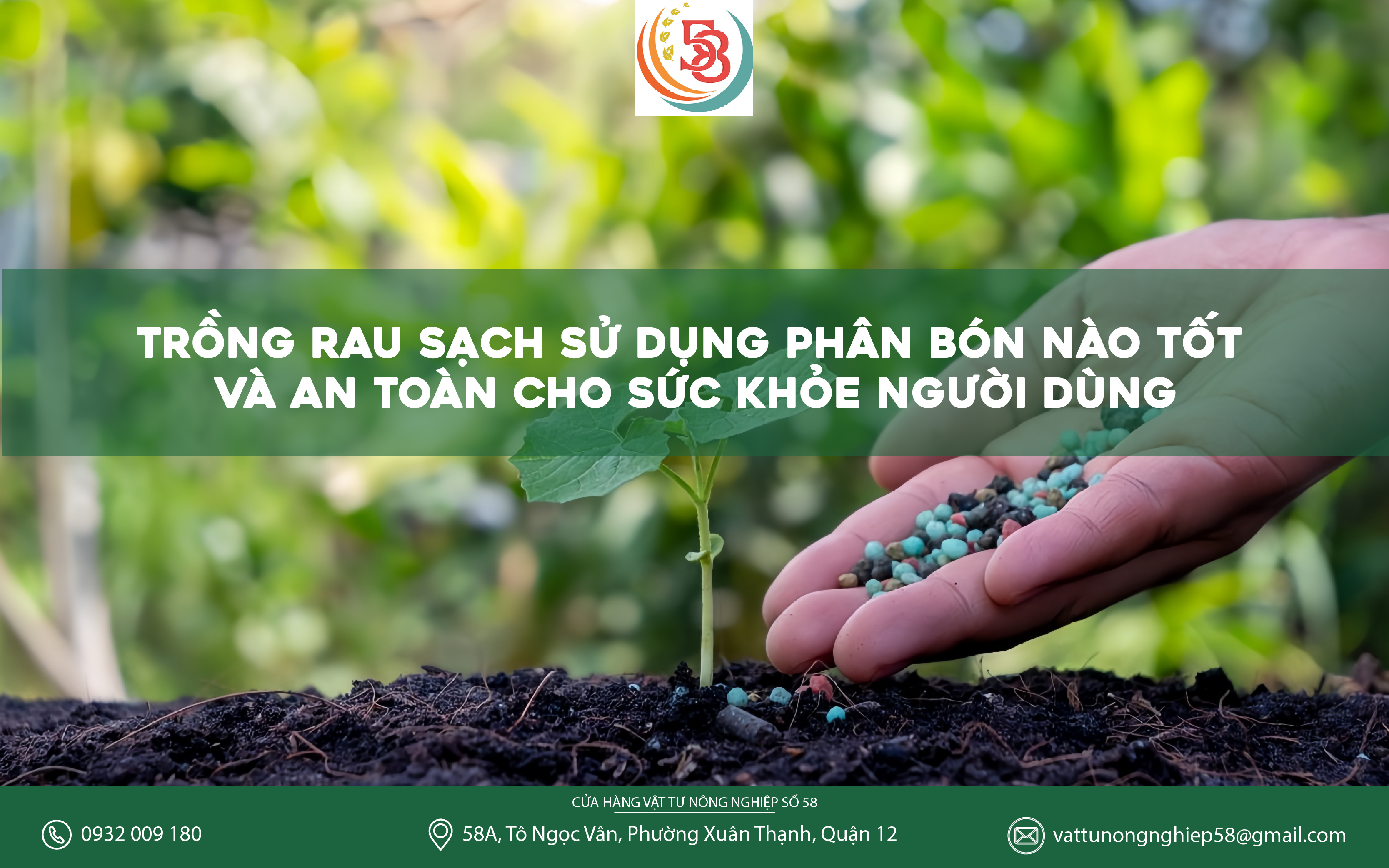 TRỒNG RAU SẠCH SỬ DỤNG PHÂN BÓN NÀO TỐT VÀ AN TOÀN CHO SỨC KHỎE NGƯỜI DÙNG